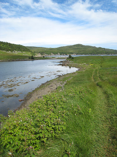 Walking the trail around the Island (By Marilyn Pincock)