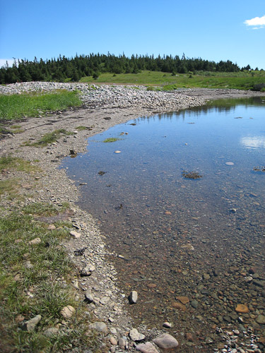 A glorious day for a walk in the Cove (By Marilyn Pincock)
