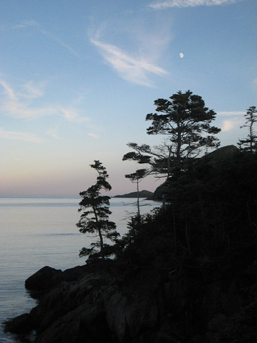 A night with the moon shining over the Island