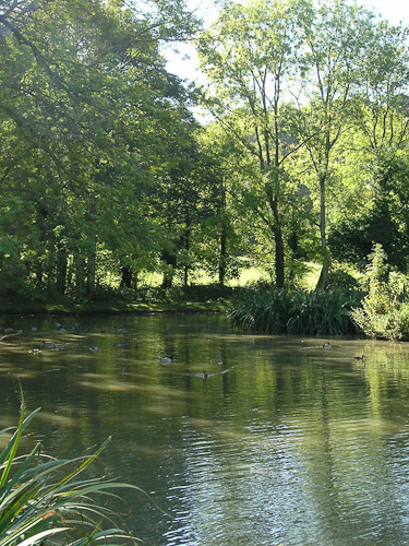 In Nursted, Hampshire