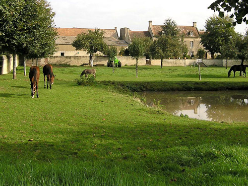 Farm in Normandy